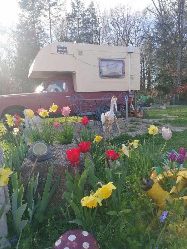 Le Pick Up 403 Vintage Hotel Oradour-sur-Glane Exterior photo